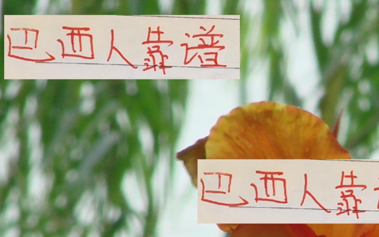 還是巴西外援靠譜！從海港巴西幫再到河南桑巴壯漢！