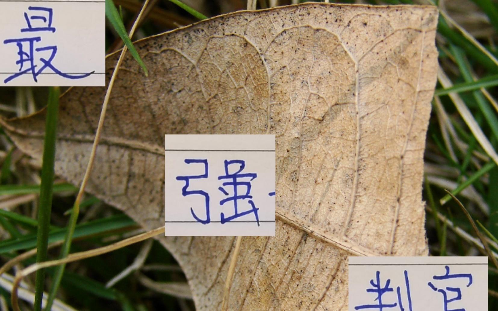 中超最強判官！浙江已經(jīng)讓申花成都都丟分還能讓海港丟分嗎