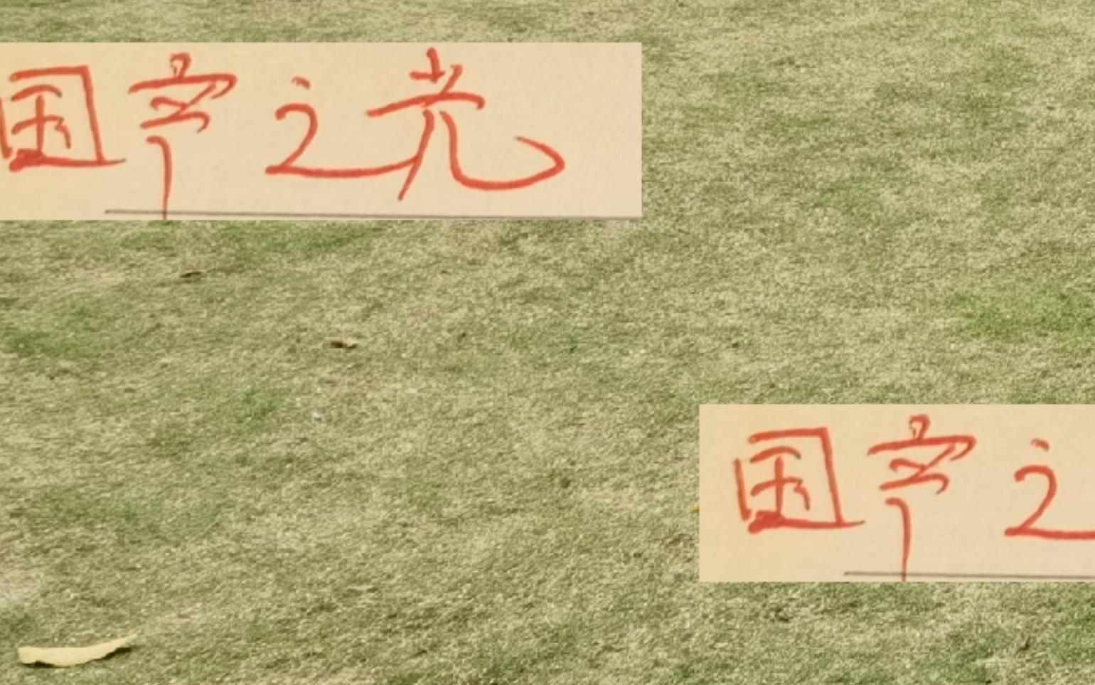 國產(chǎn)之光！亞洲賽事4球隊(duì)只有上海申花獲勝！能獎(jiǎng)勵(lì)雞腿嗎