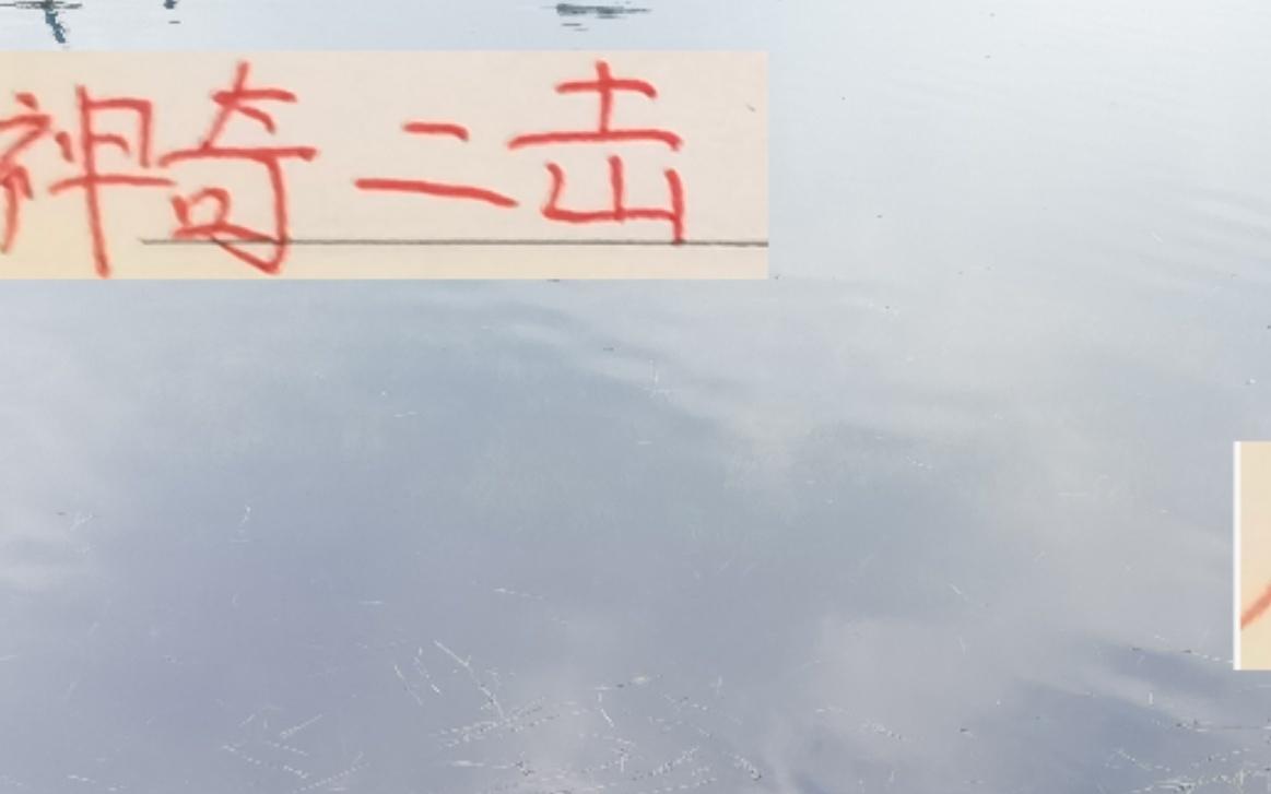 神奇二擊！海港跟申花前15輪拿分第一后半程突然拉胯了